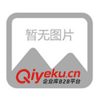 供應活力板、游龍板、沖浪板、滑板/麥克街板/滑板車